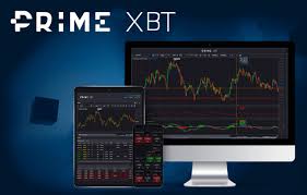 Exploring the PrimeXBT Trading Platform A Comprehensive Guide -661288436